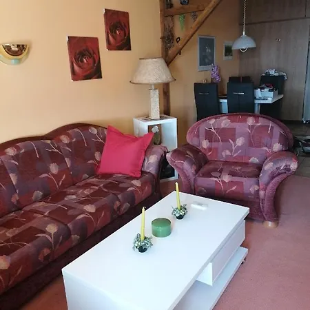 Harz Stube شقة جوسلار